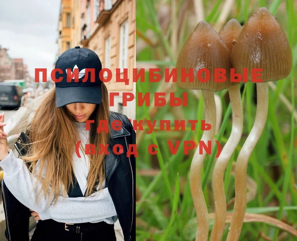 гидропоника Нея