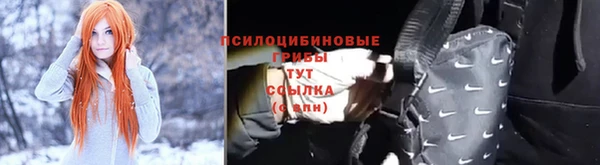 гидропоника Нея