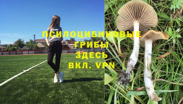 индика Нефтекумск