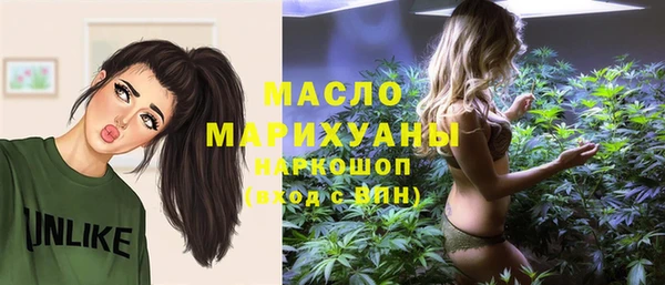 индика Нефтекумск