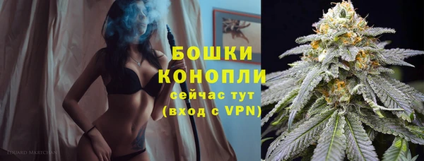 индика Нефтекумск