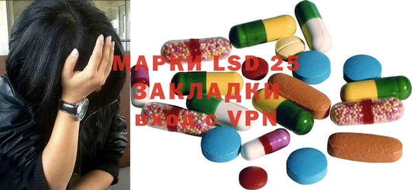 индика Нефтекумск