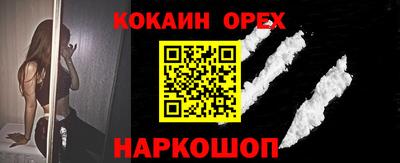 стафф Гатчина