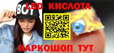 стафф Гатчина