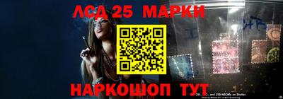 амф Донской