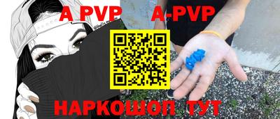 стафф Гатчина