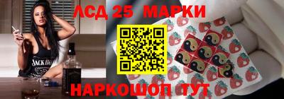 стафф Гатчина