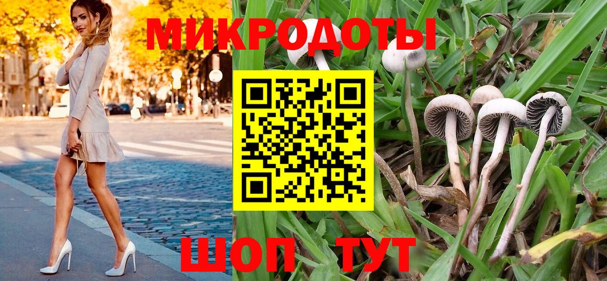 Карпинск  Псилоцибиновые грибы прущие грибы  где купить наркоту  Псилоцибиновые грибы Psilocybine cubensis  Вход с VPN 