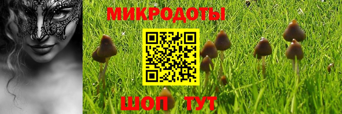 Галлюциногенные грибы GOLDEN TEACHER  Галлюциногенные грибы Psilocybine cubensis  Карпинск 