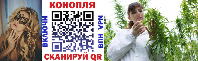 Конопля планчик Карпинск